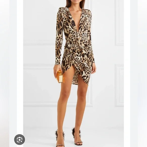 Alexandre Vauthier Leopard Dress! - Picture 1 of 6